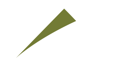 Actus S.A.